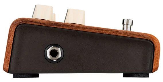 LR Baggs Align Series Reverb