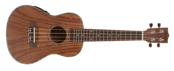 Morgan UK T500 E, Ukulele