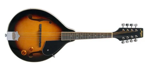 Morgan M 20 E VS Mandolin