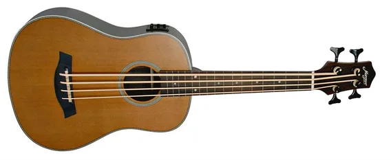 Morgan UK Bass E Fretless