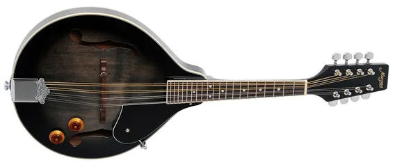 Morgan M 20 E TBK, Mandolin