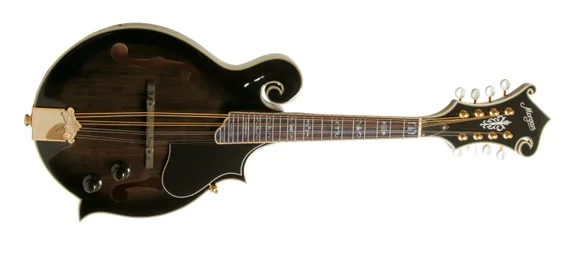 Morgan M 70 E, Mandolin TBK m/kasse