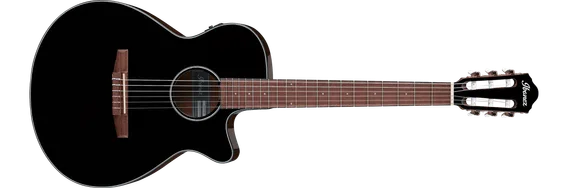 Ibanez AEG50N-BK